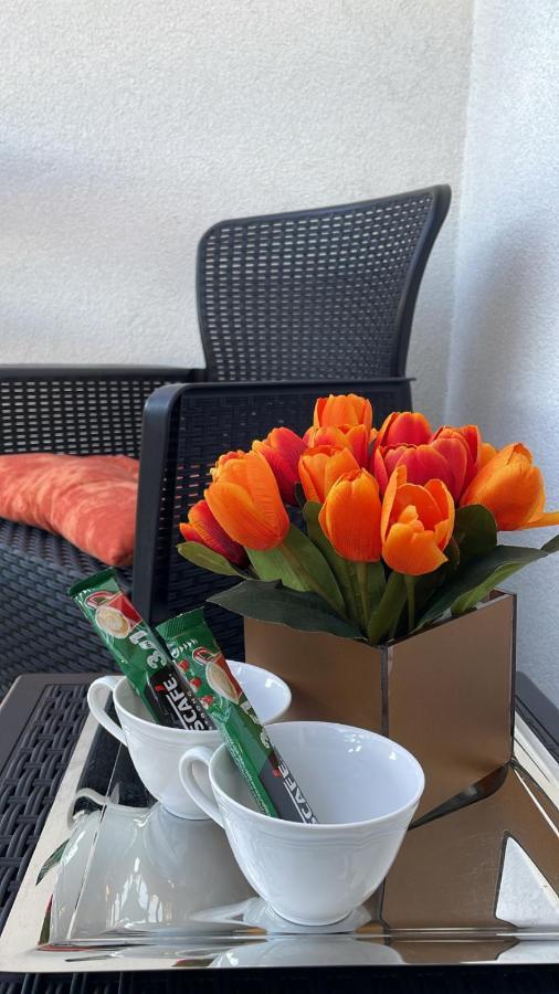 Apartman Venera Sombor Dış mekan fotoğraf